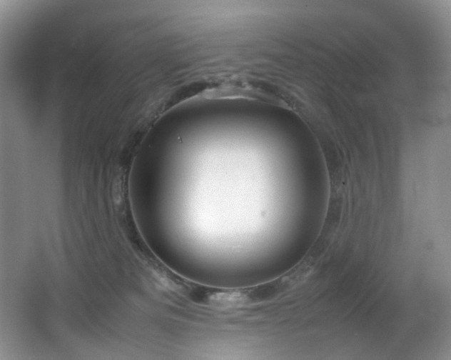 X0000064730133200602101159