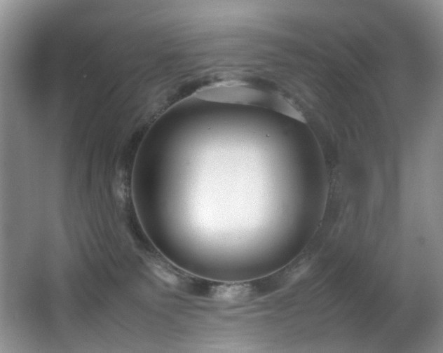 X0000064730135200602101159