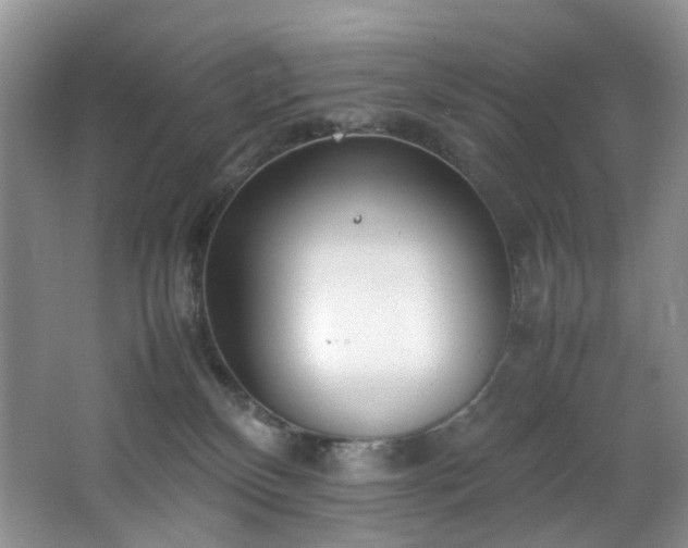 X0000064730136200602101159