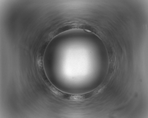 X0000064730137200602101159