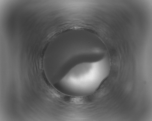 X0000064730139200602101159