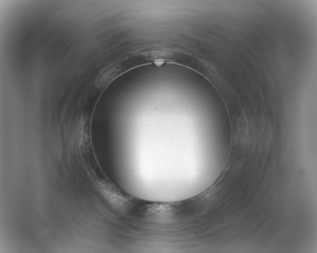 X0000064730140200602101159