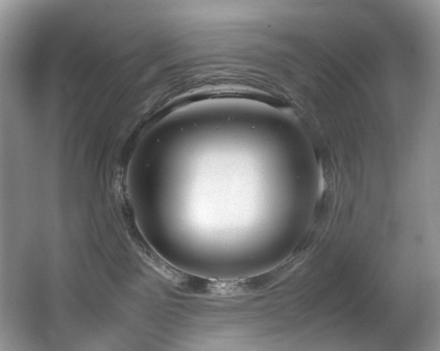 X0000064730141200602101159