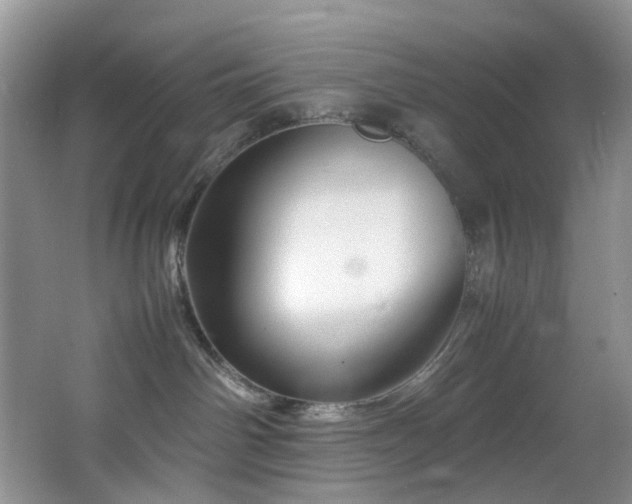 X0000064730142200602101159