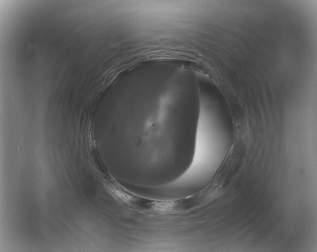 X0000064730143200602101159