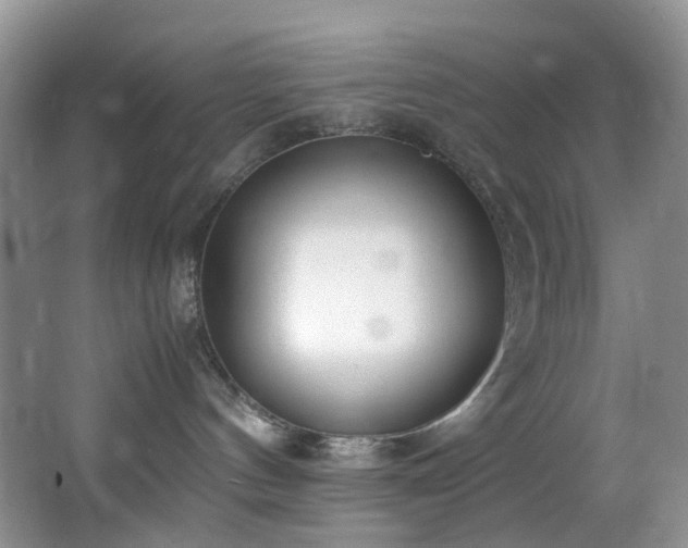 X0000064730144200602101159