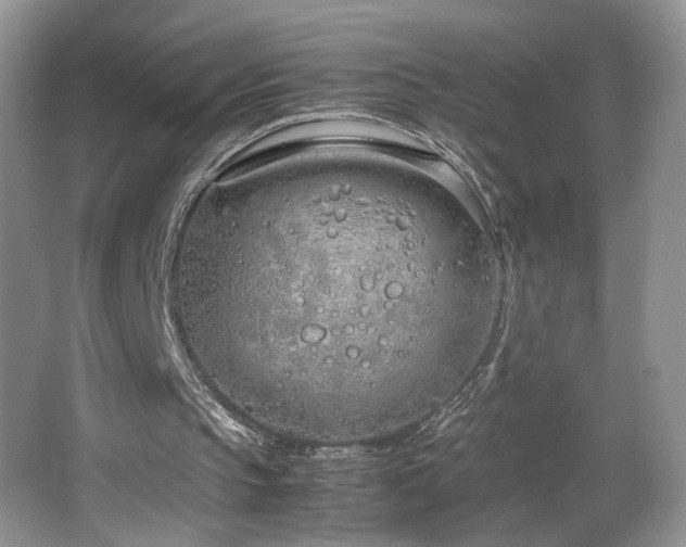 X0000064730145200602101158