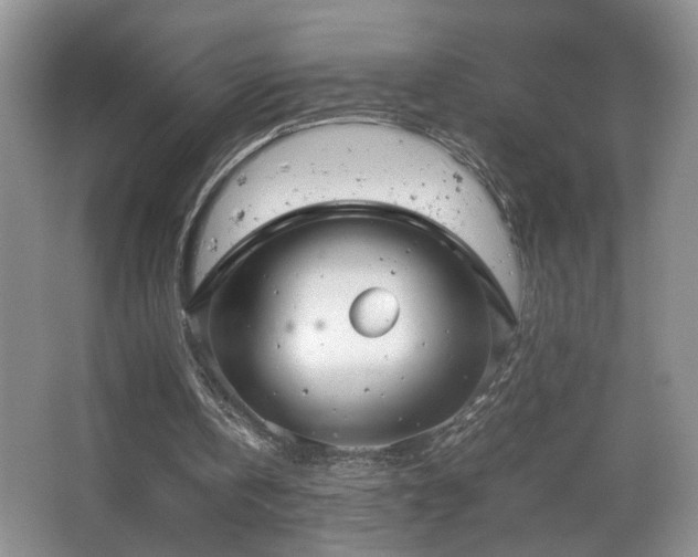 X0000064730146200602101158