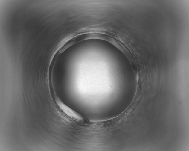 X0000064730148200602101159