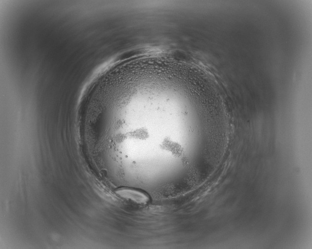 X0000064730149200602101159