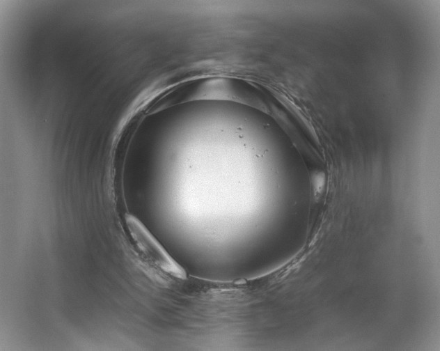 X0000064730150200602101159