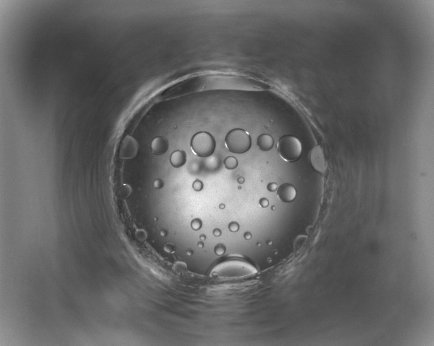 X0000064730151200602101159