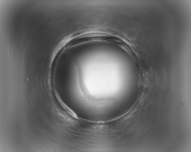 X0000064730152200602101159