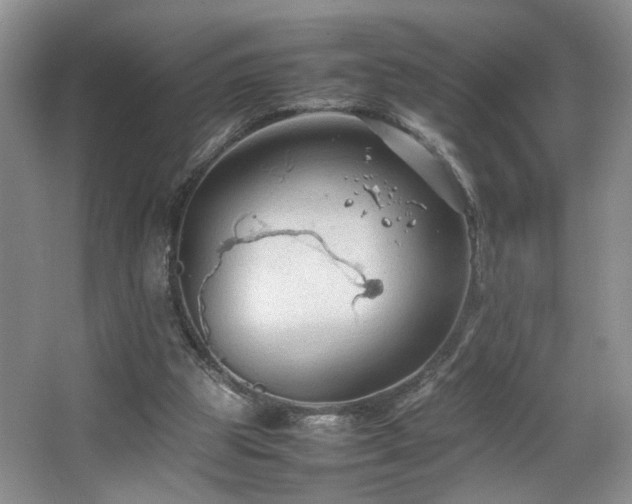 X0000064730153200602101159