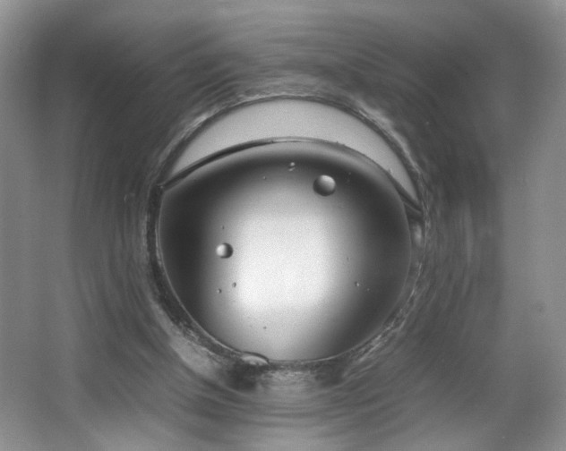 X0000064730154200602101159