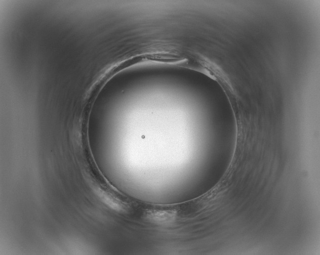 X0000064730155200602101159