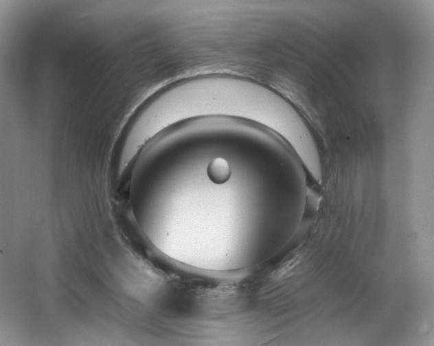 X0000064730156200602101159