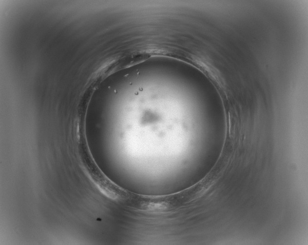 X0000064730157200602101159