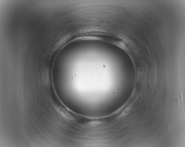 X0000064730158200602101159