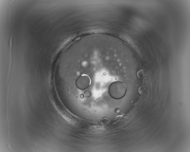 X0000064730159200602101159