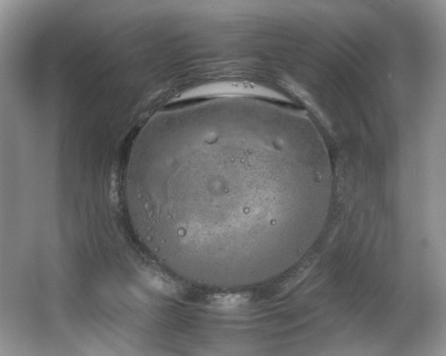 X0000064730161200602101159