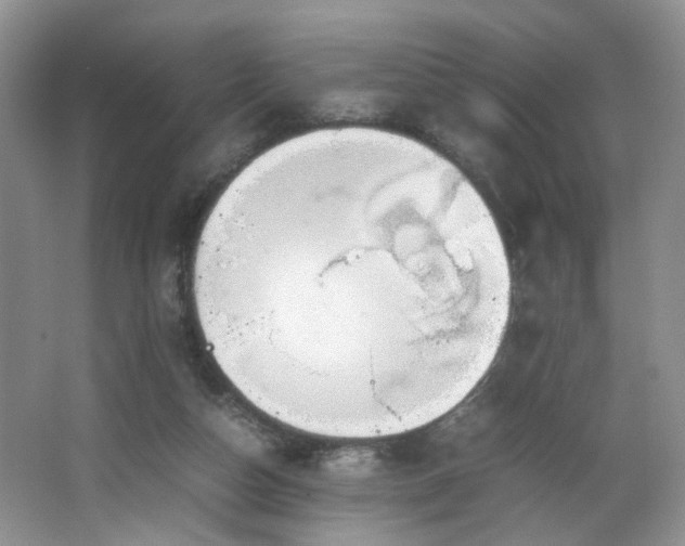 X0000064730162200602101159