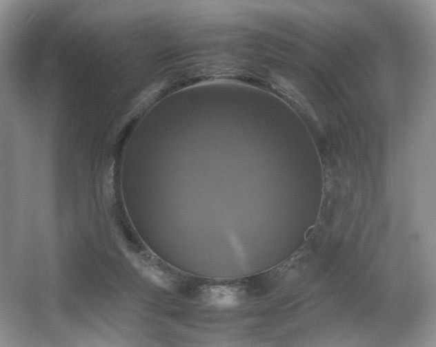 X0000064730163200602101159