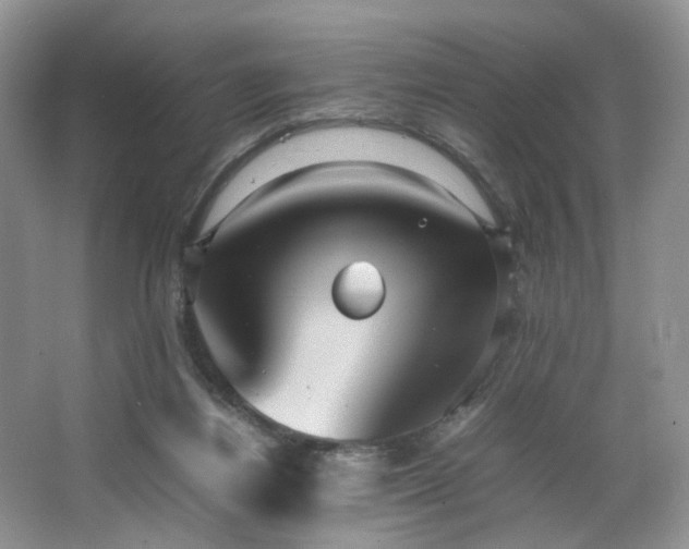 X0000064730164200602101159