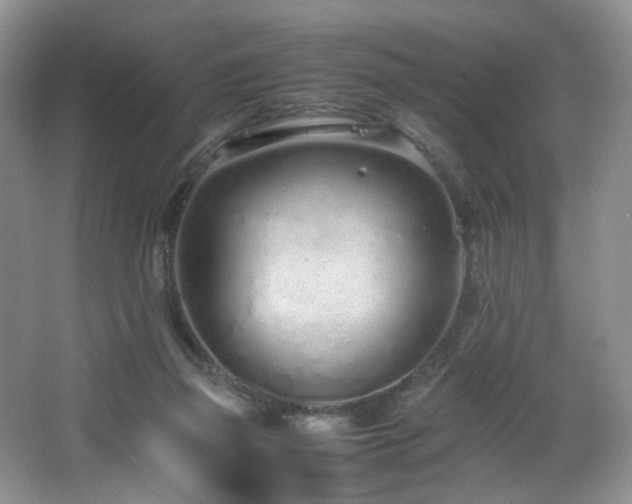 X0000064730165200602101159