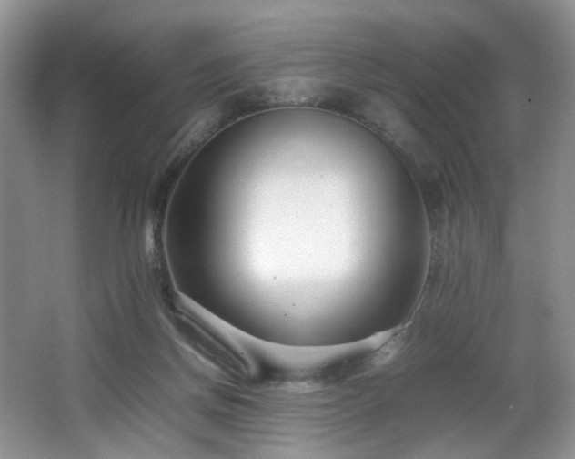 X0000064730166200602101159