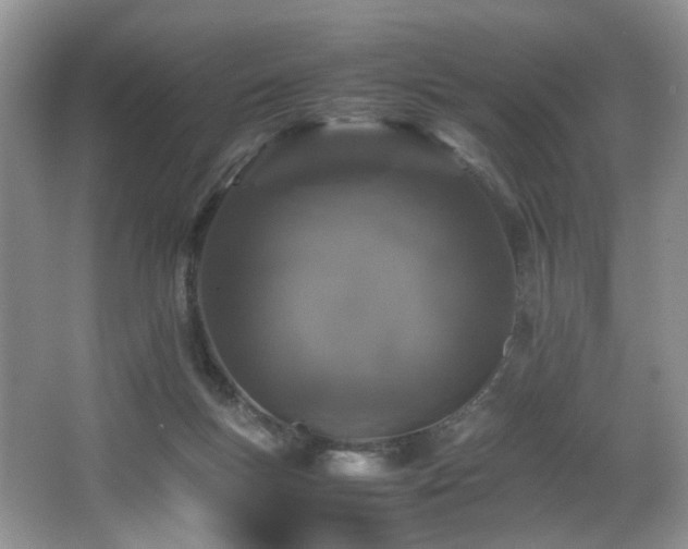 X0000064730167200602101159