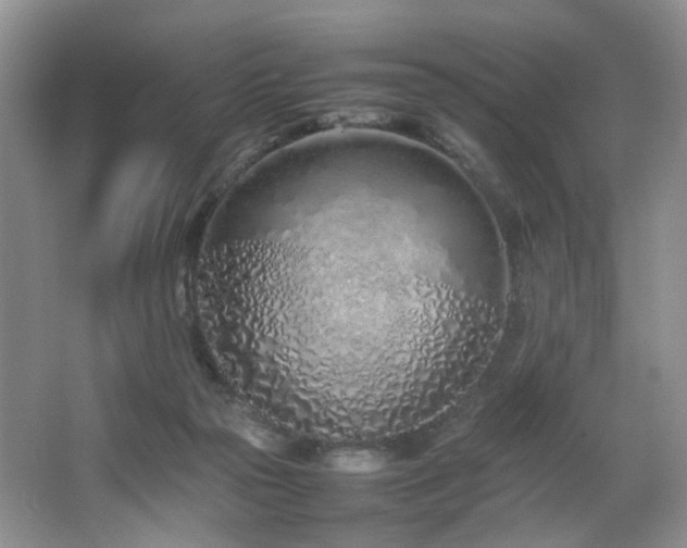 X0000064730169200602101159