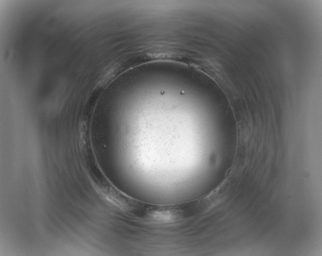 X0000064730171200602101159