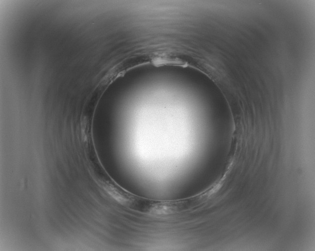 X0000064730174200602101159