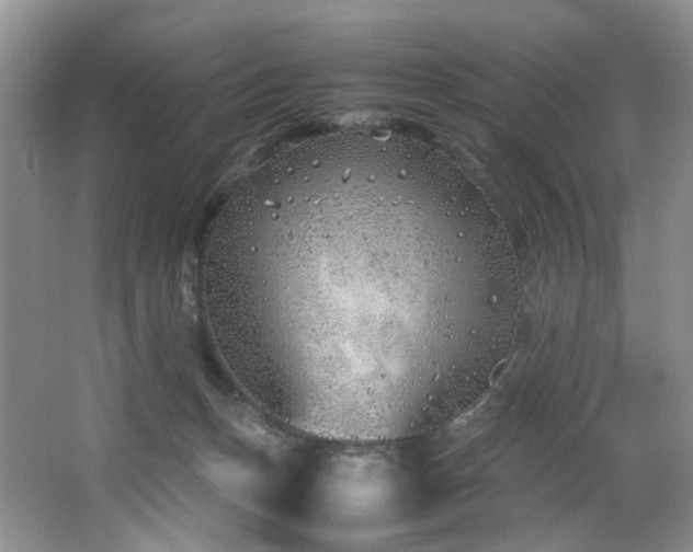 X0000064730175200602101159