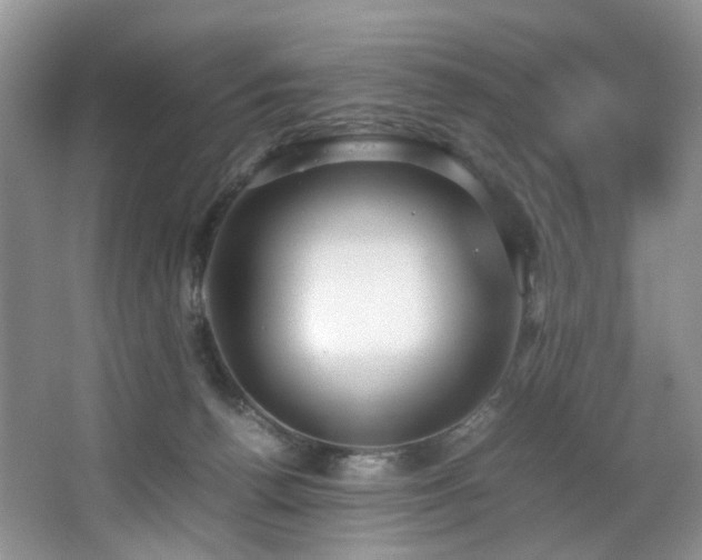 X0000064730176200602101159