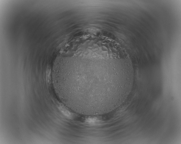 X0000064730177200602101159