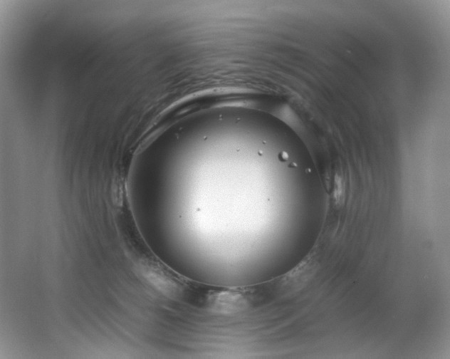 X0000064730180200602101159