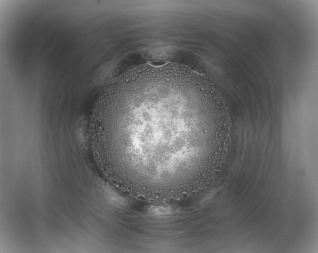 X0000064730181200602101159