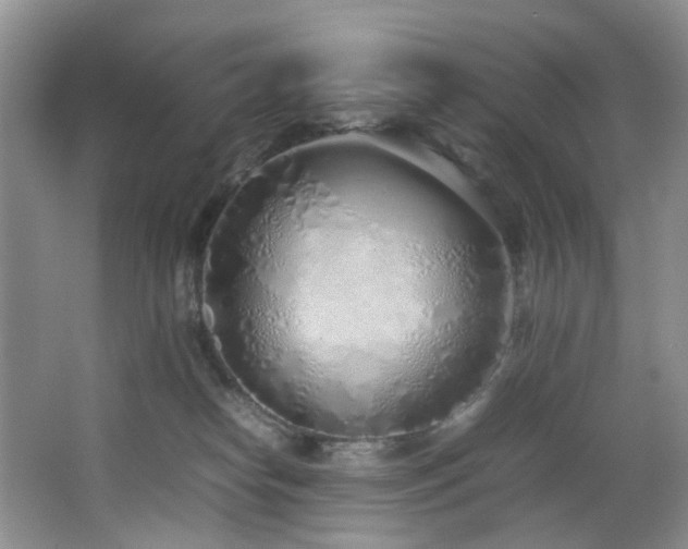 X0000064730182200602101159