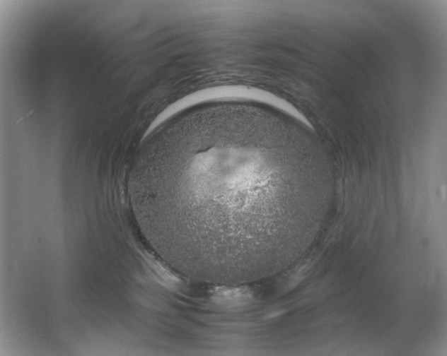 X0000064730185200602101159