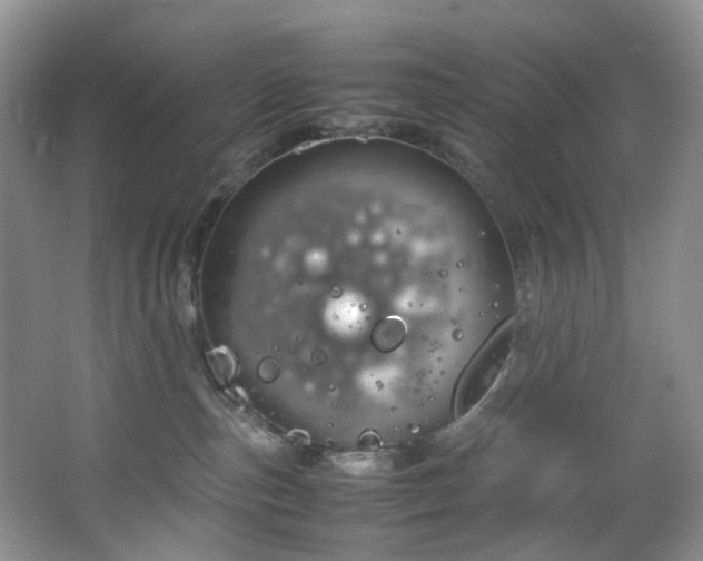 X0000064730187200602101159