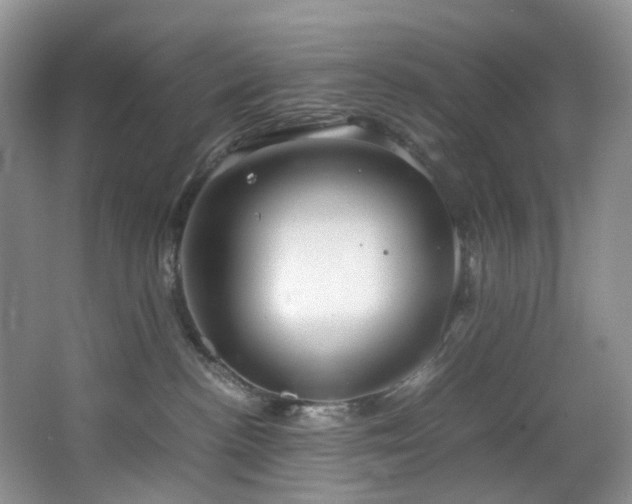 X0000064730188200602101159