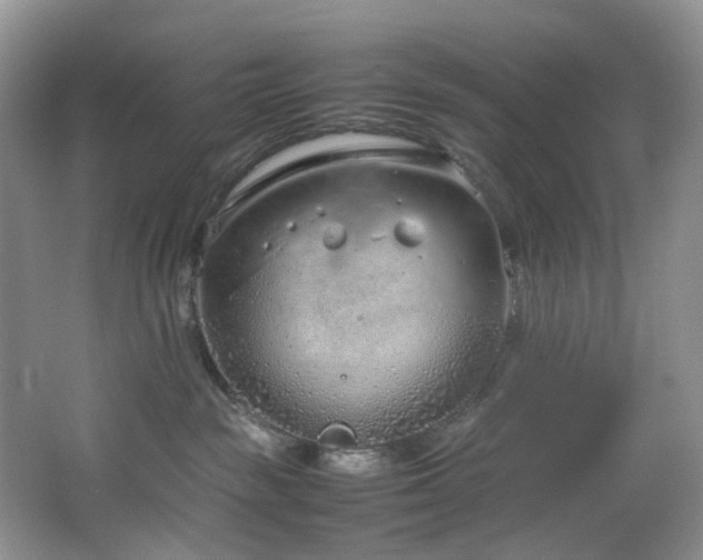 X0000064730189200602101159