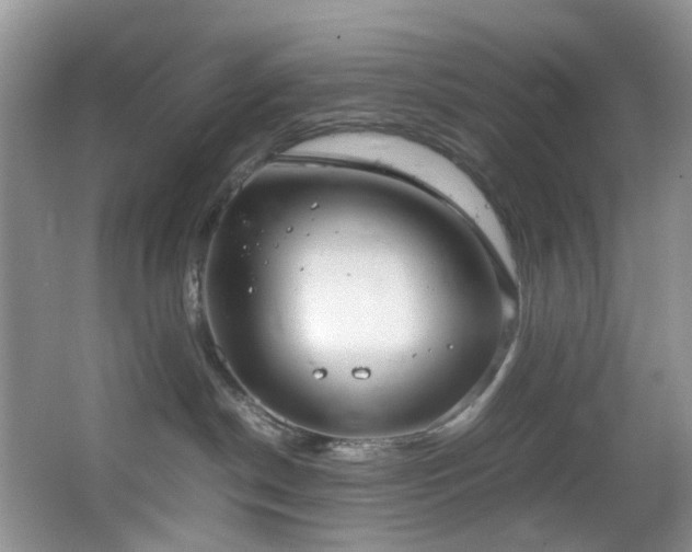 X0000064730190200602101159