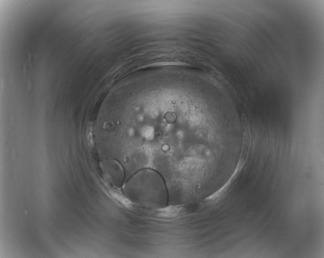 X0000064730191200602101159