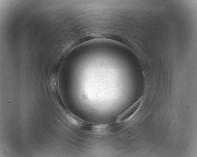 X0000064730192200602101159