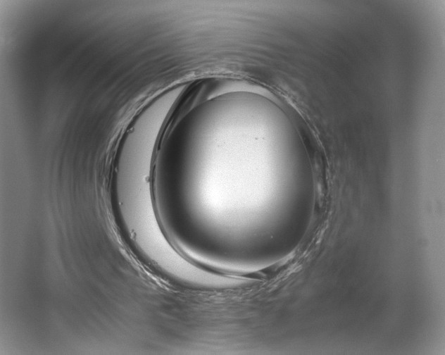 X0000064730193200602101158