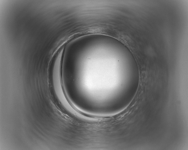 X0000064730194200602101158