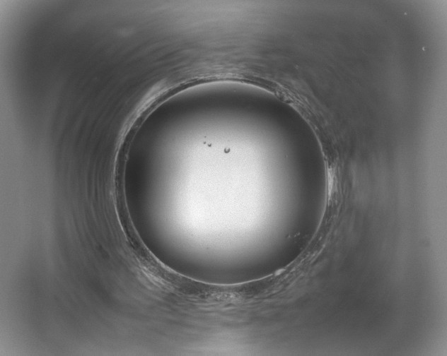 X0000064730195200602101158